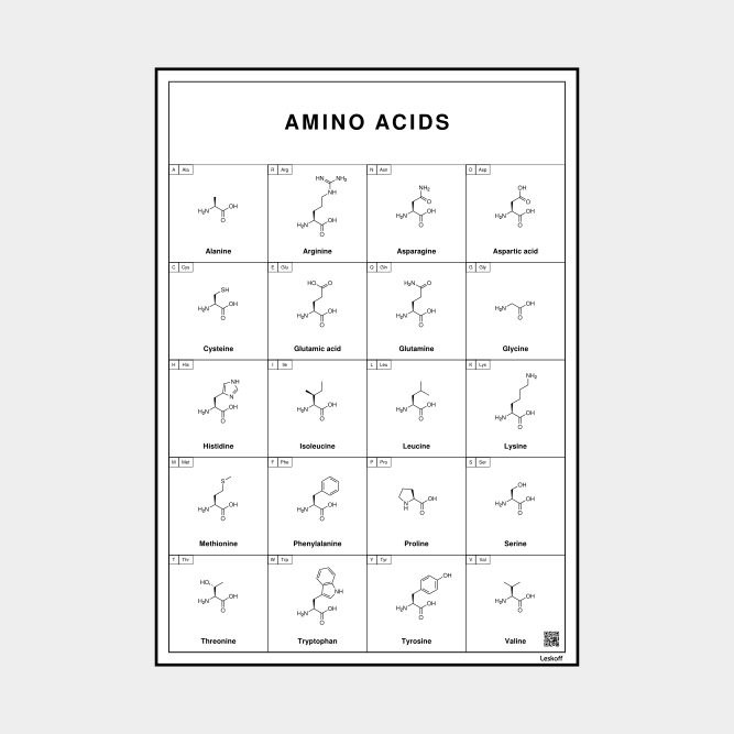 Leskoff Amino Acids image 1 of 1
