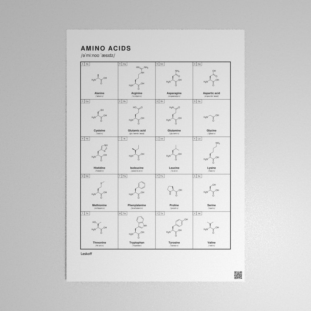 Leskoff Amino Acids Poster image 1 of 2