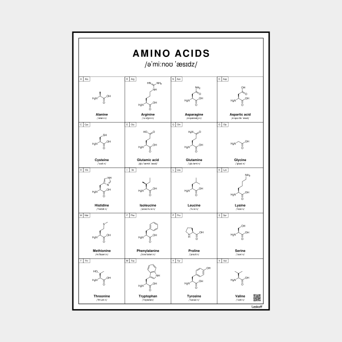 Leskoff Amino Acids image 1 of 1