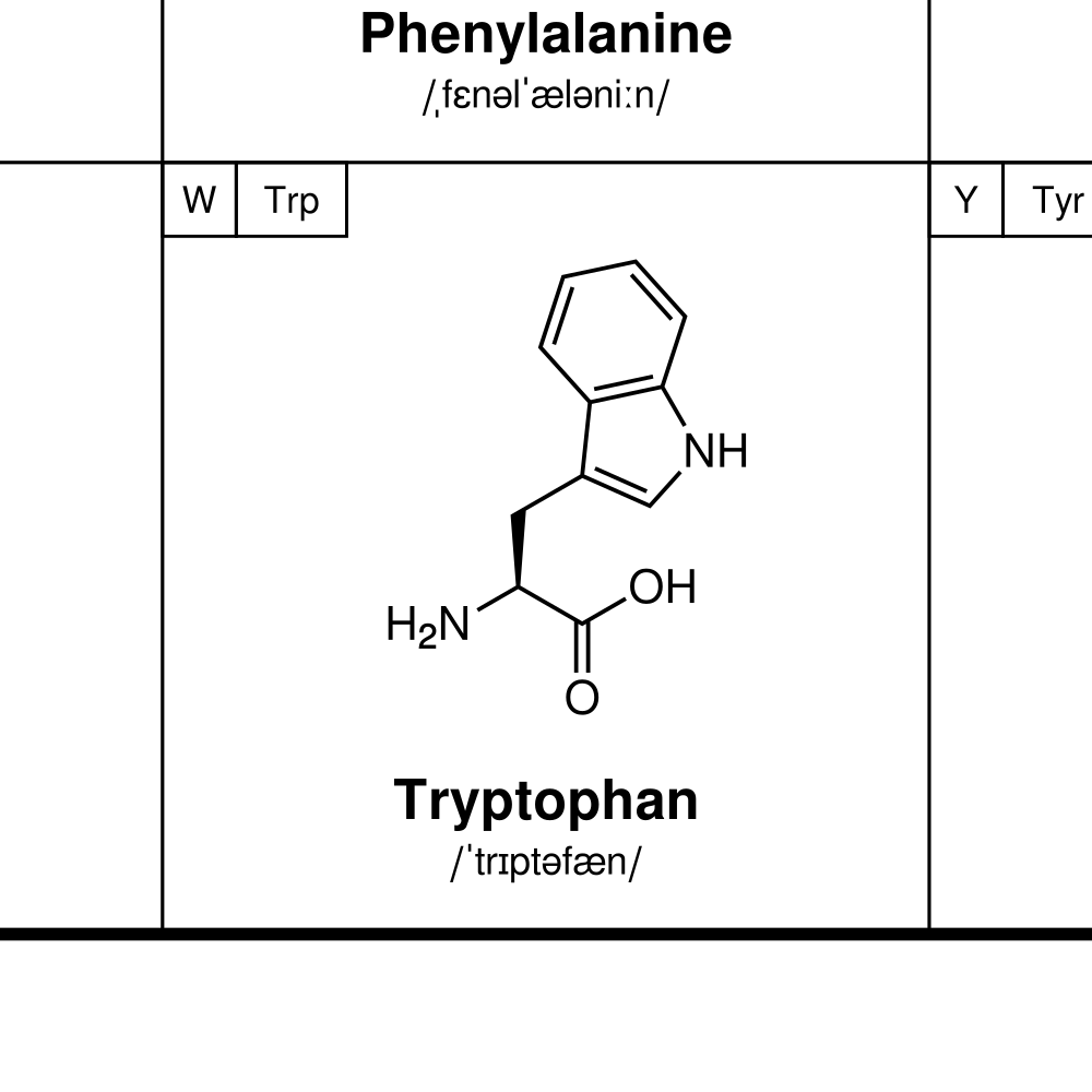 Leskoff Amino Acids Poster image 2 of 2