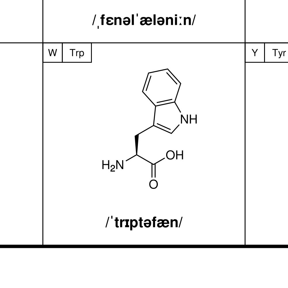 Leskoff Amino Acids Poster image 2 of 2