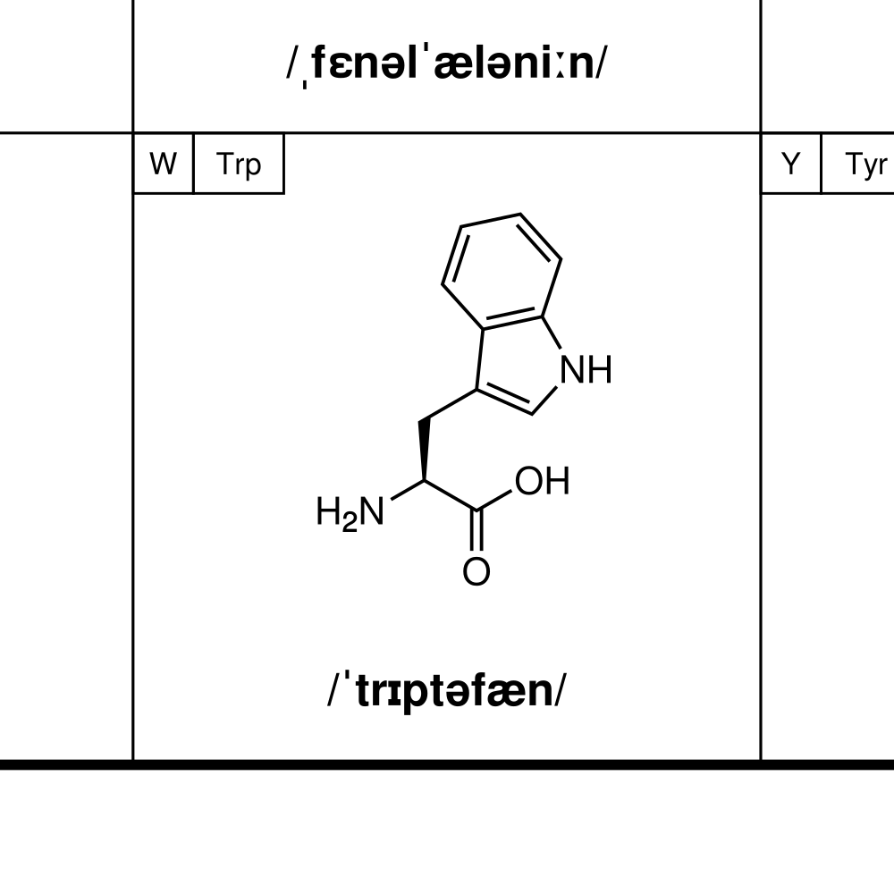 Leskoff Amino Acids Poster image 2 of 2