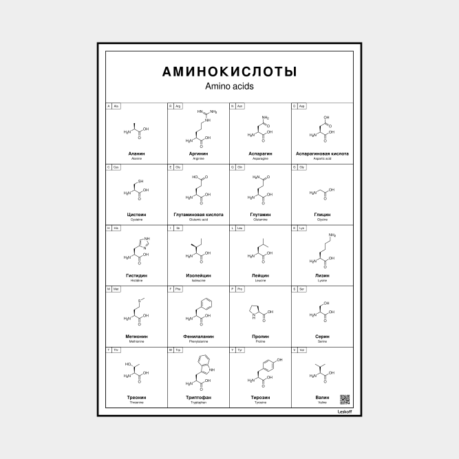 Leskoff Amino Acids image 1 of 1