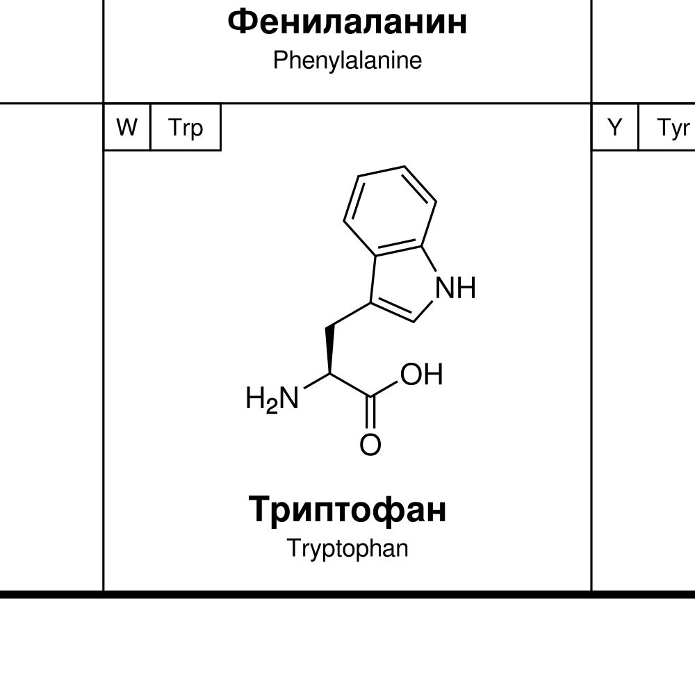 Leskoff Amino Acids Poster image 2 of 2