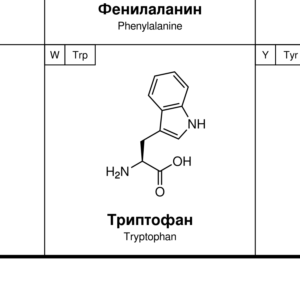 Leskoff Amino Acids Poster image 2 of 2