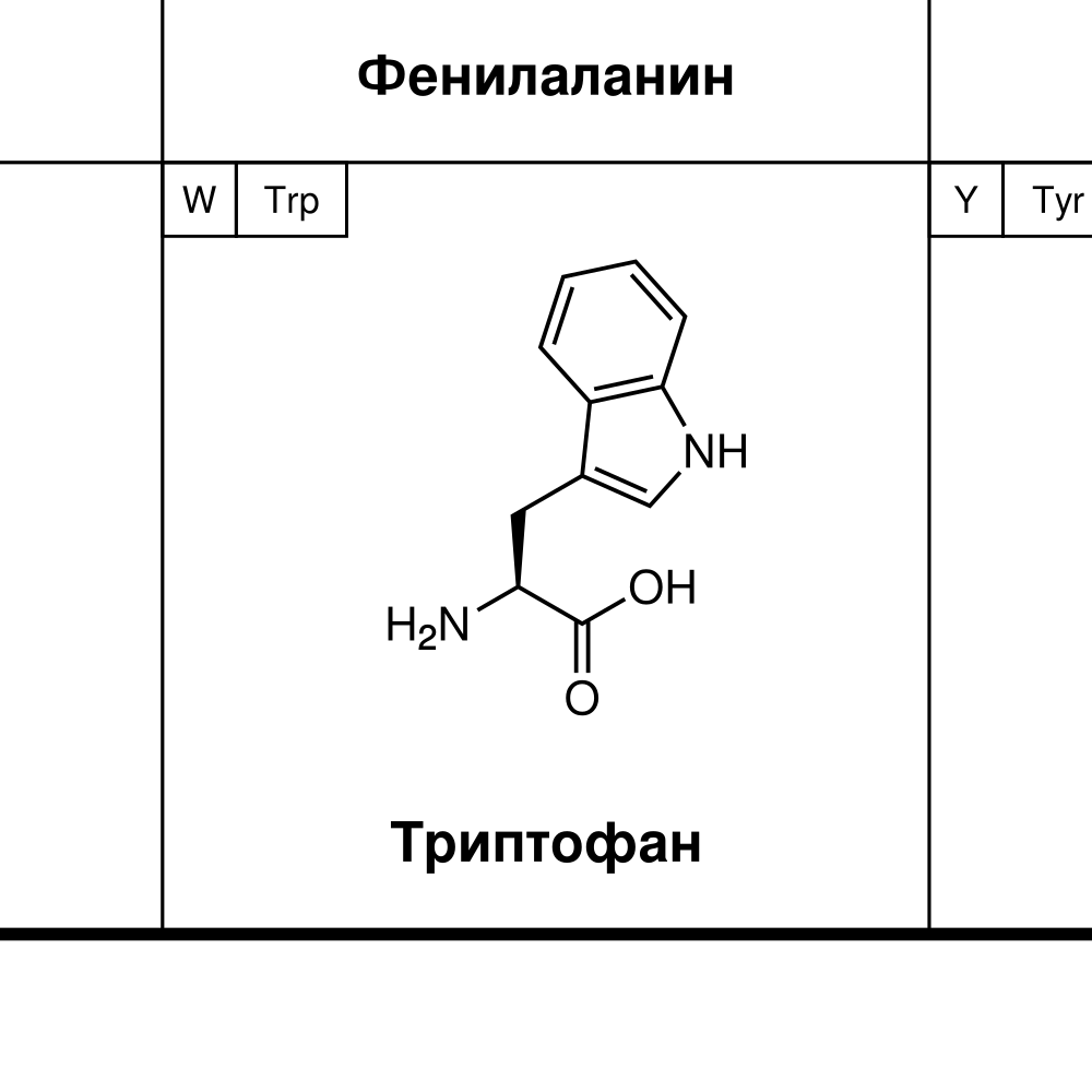 Leskoff Amino Acids Poster image 2 of 2