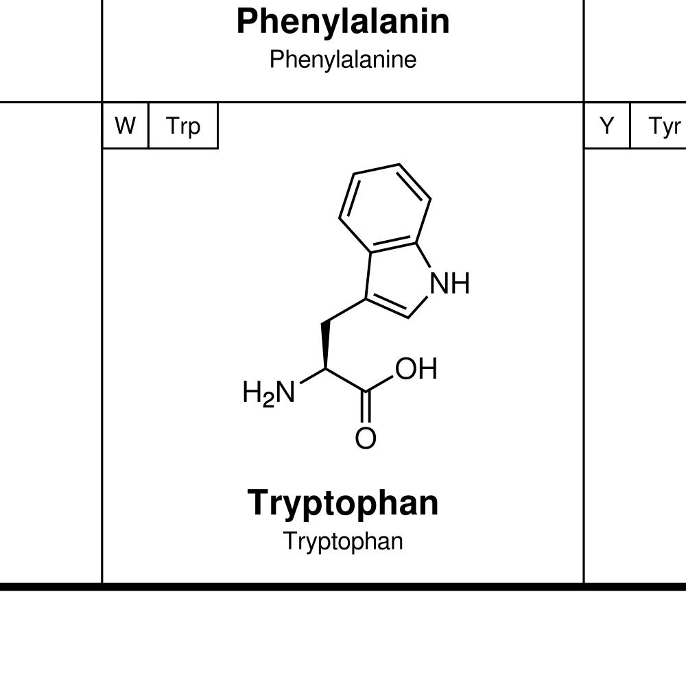 Leskoff Amino Acids Poster image 2 of 2