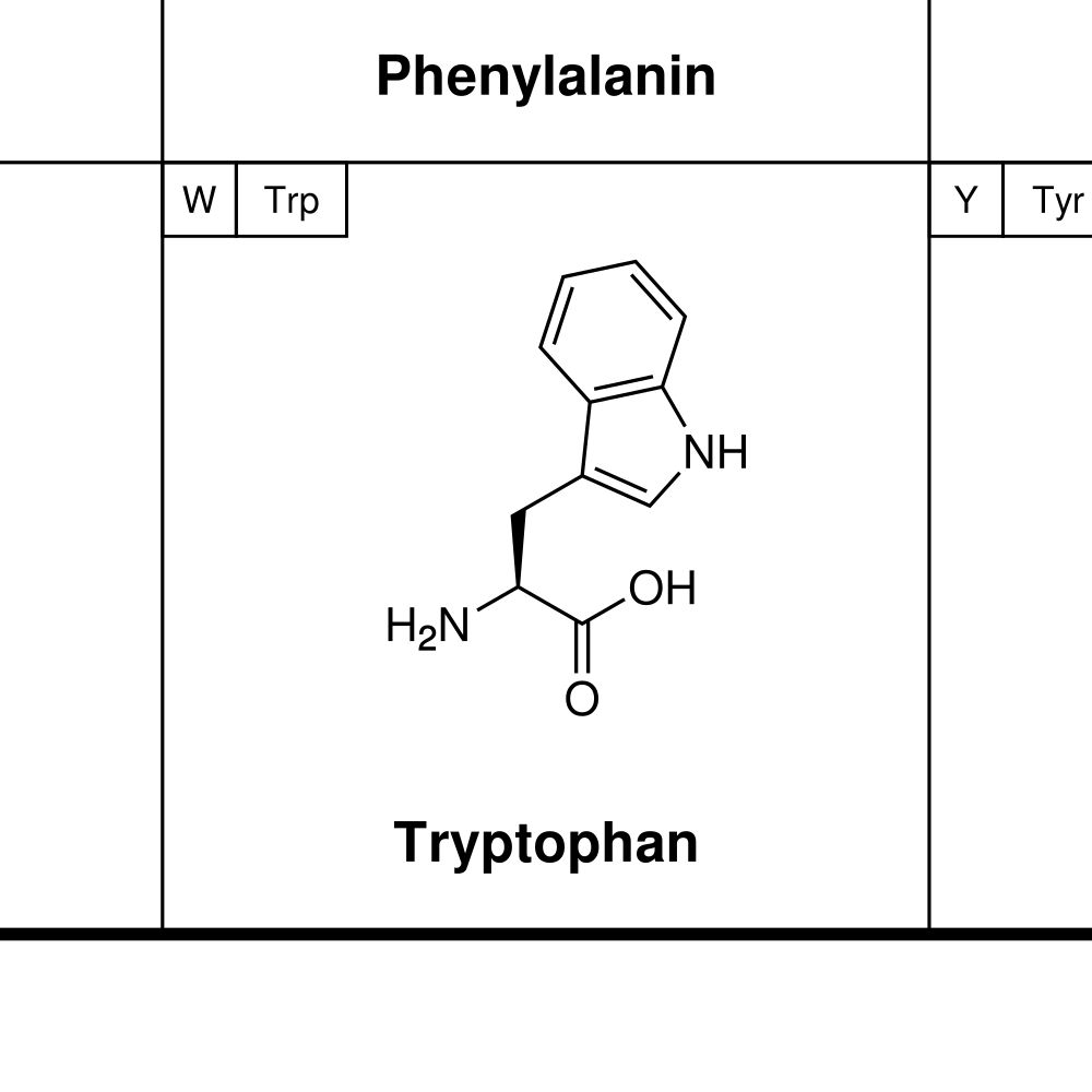 Leskoff Amino Acids Poster image 2 of 2
