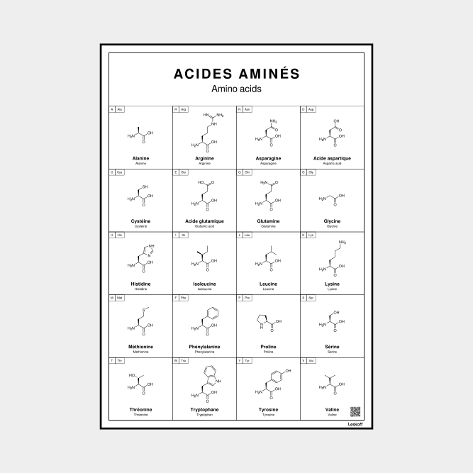 Leskoff Amino Acids image 1 of 1