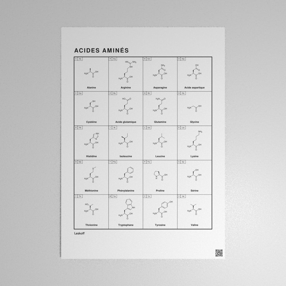 Leskoff Amino Acids Poster image 1 of 2