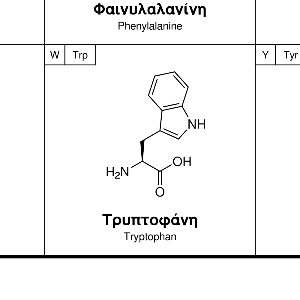 Leskoff Amino Acids Poster image 2 of 2