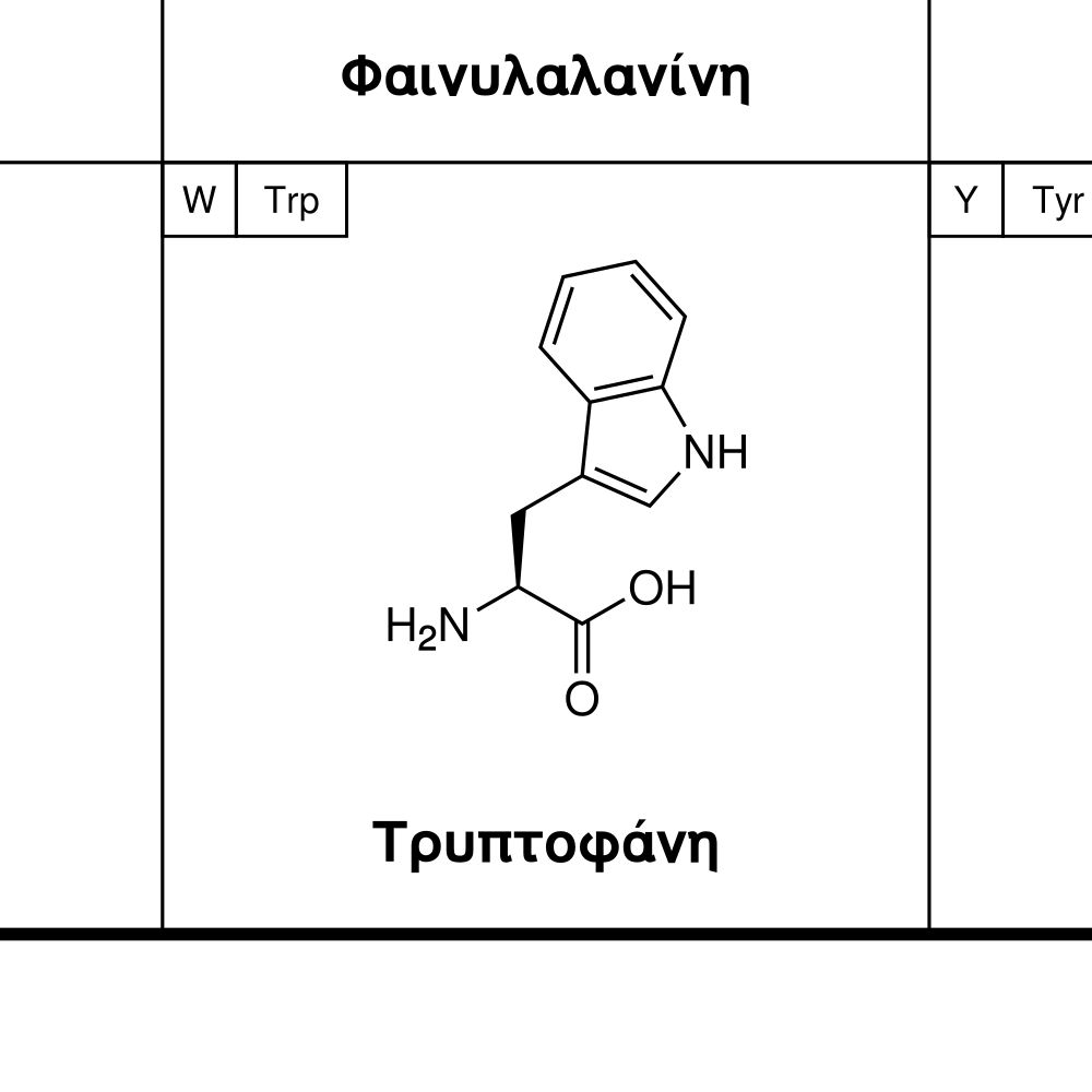 Leskoff Amino Acids Poster image 2 of 2