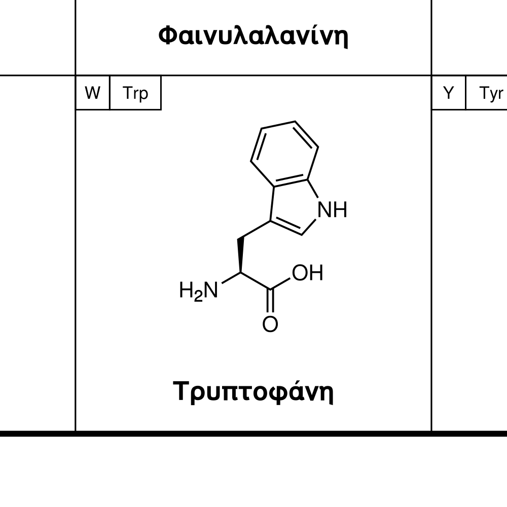 Leskoff Amino Acids Poster image 2 of 2