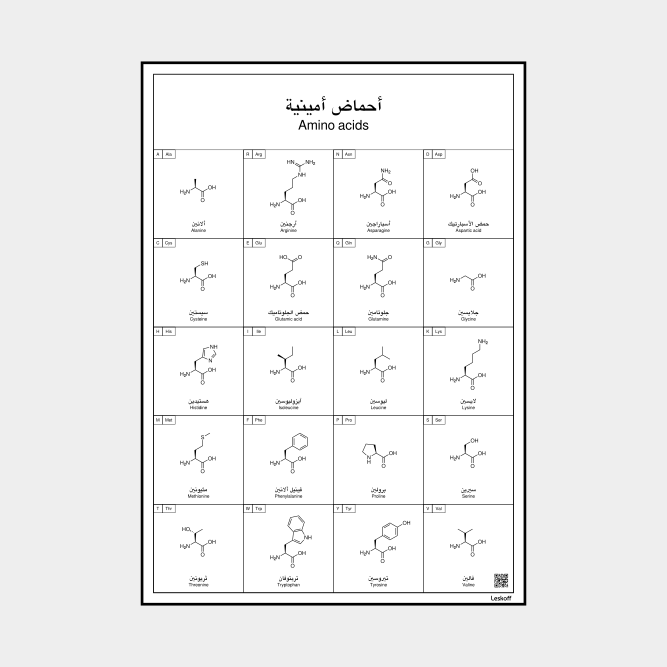 Leskoff Amino Acids image 1 of 1