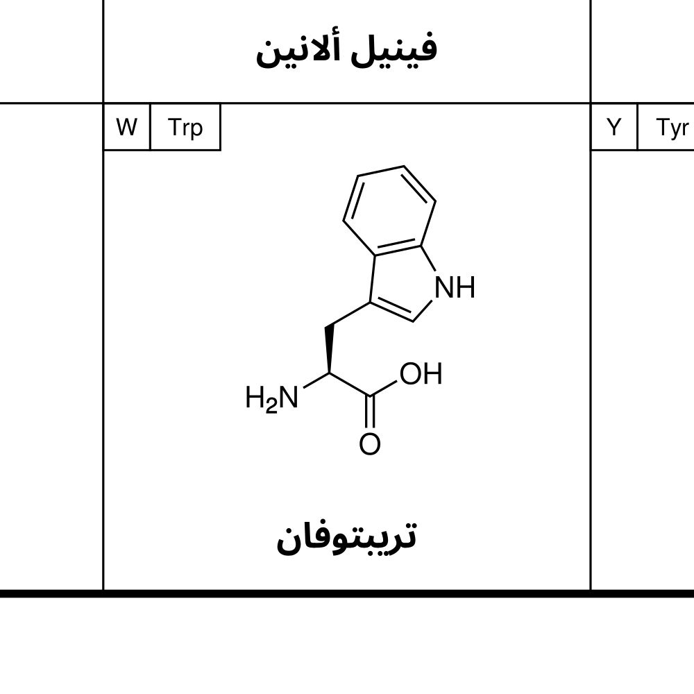 Leskoff Amino Acids Poster image 2 of 2