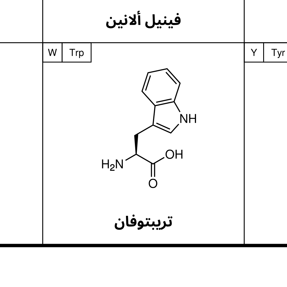Leskoff Amino Acids Poster image 2 of 2