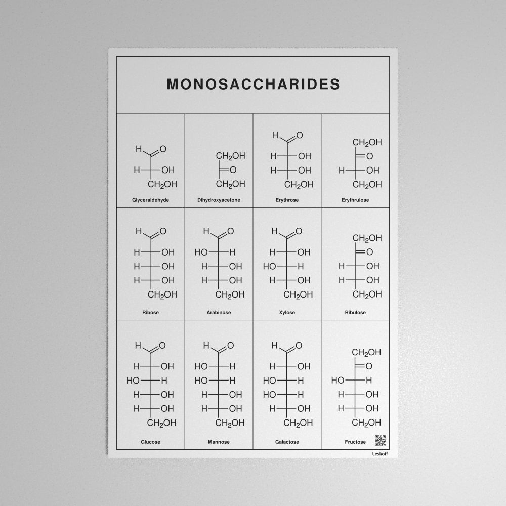 Leskoff Monosaccharides Poster image 1 of 1