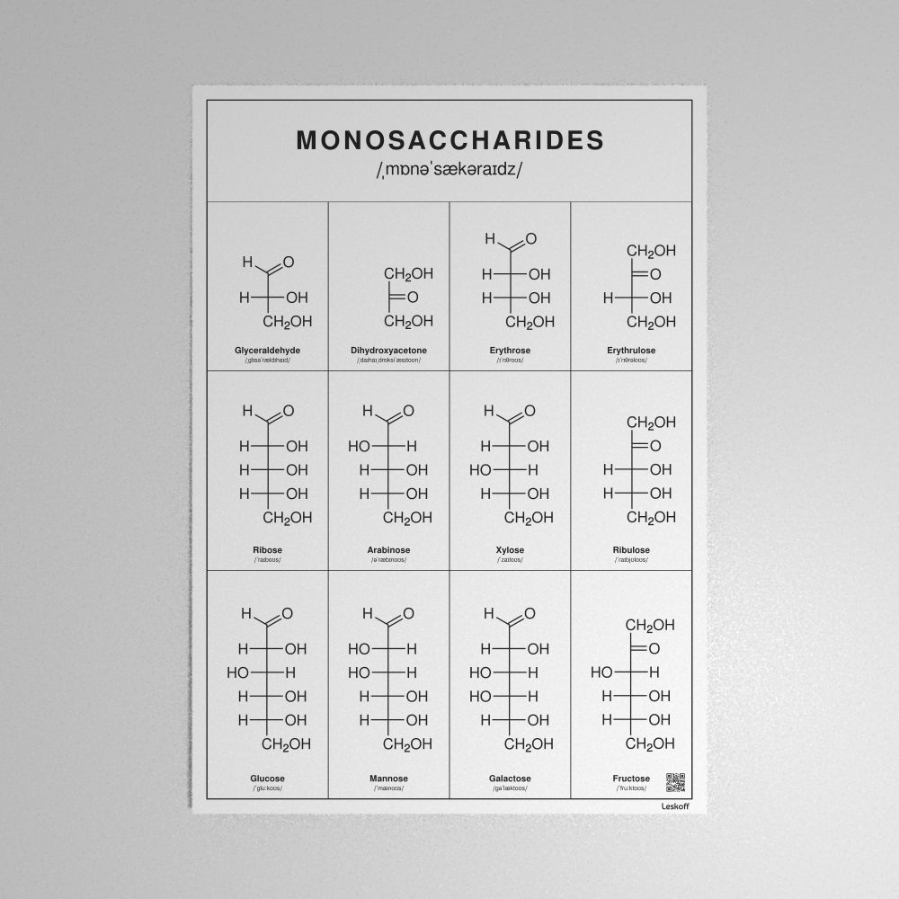Leskoff Monosaccharides Poster image 1 of 1