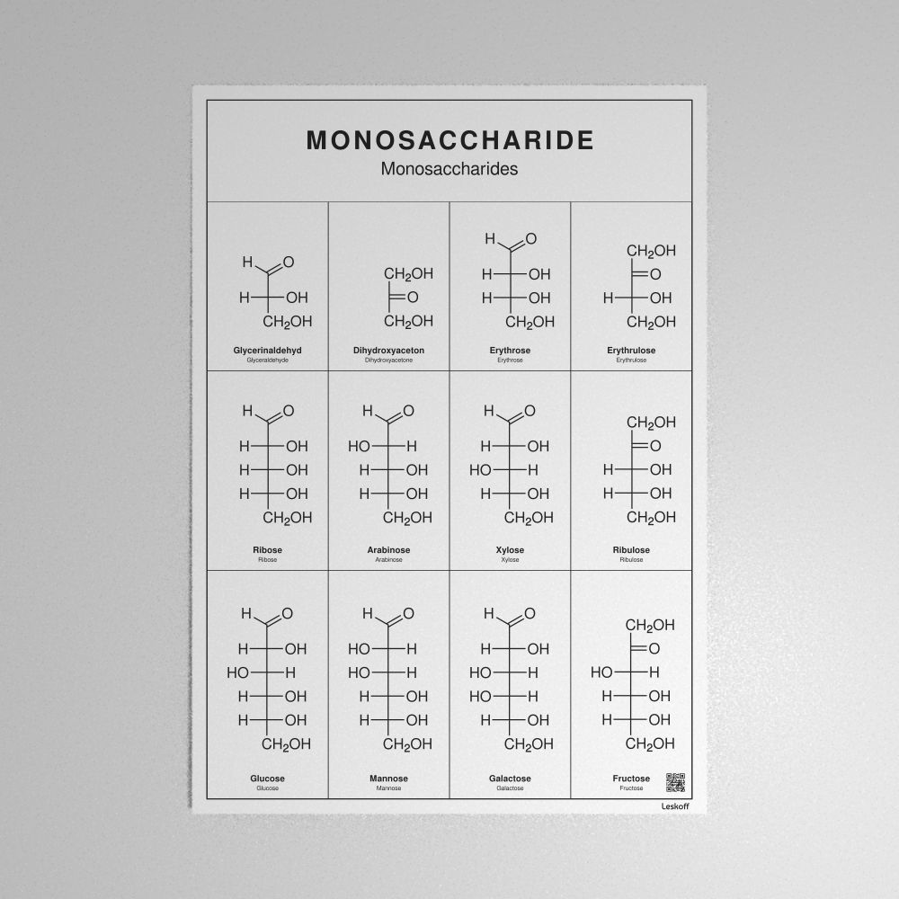 Leskoff Monosaccharides Poster image 1 of 1