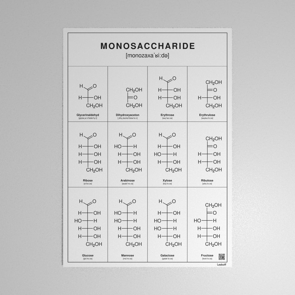 Leskoff Monosaccharides Poster image 1 of 1