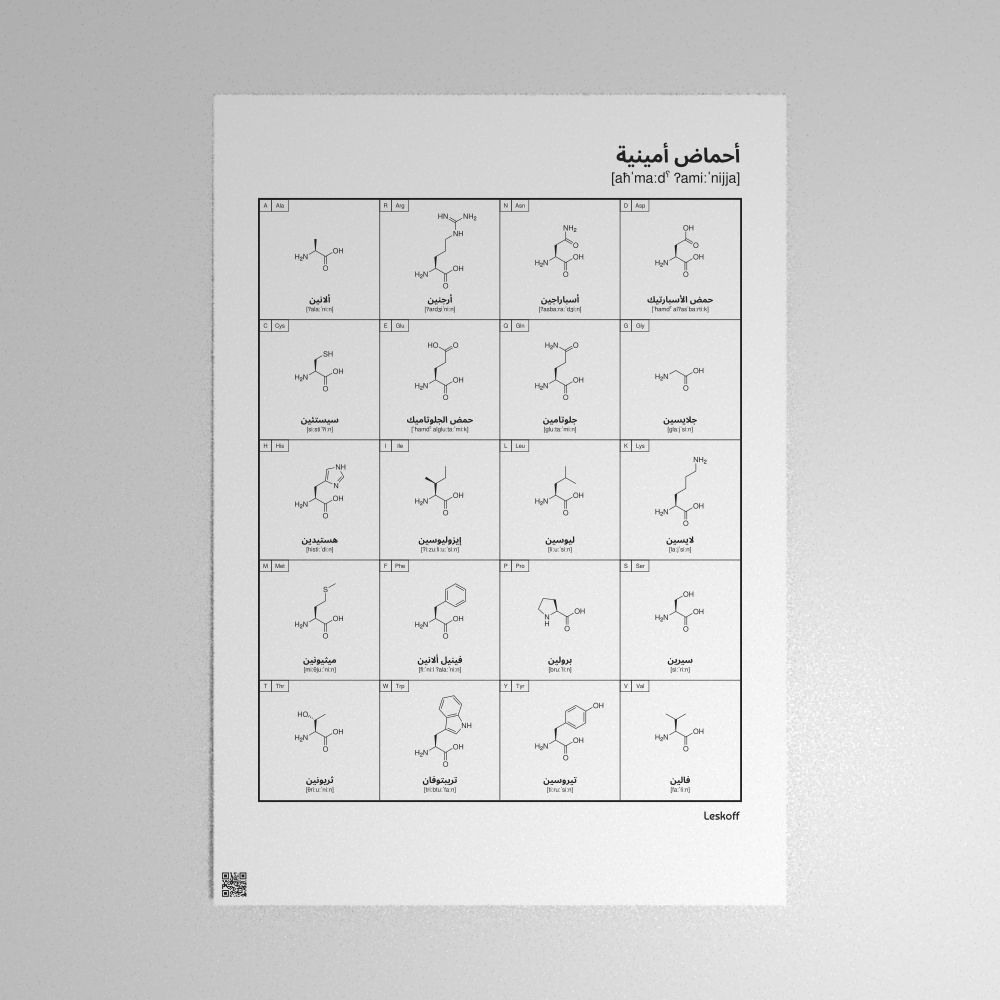 Leskoff Amino Acids Poster image 1 of 2