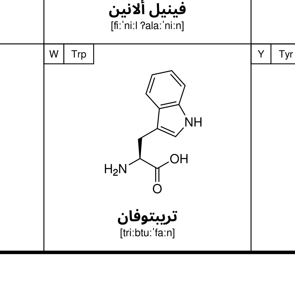 Leskoff Amino Acids Poster image 2 of 2