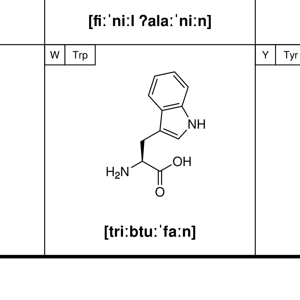 Leskoff Amino Acids Poster image 2 of 2