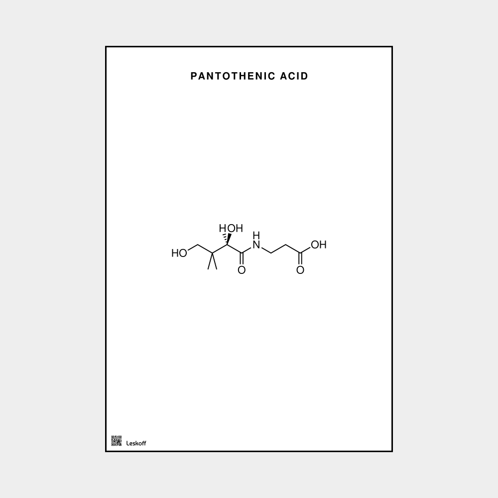 Leskoff Pantothenic Acid Molecule Poster image 1 of 1