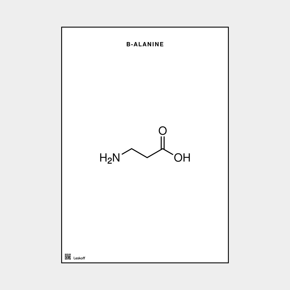 Leskoff β-Alanine Molecule Poster image 1 of 1