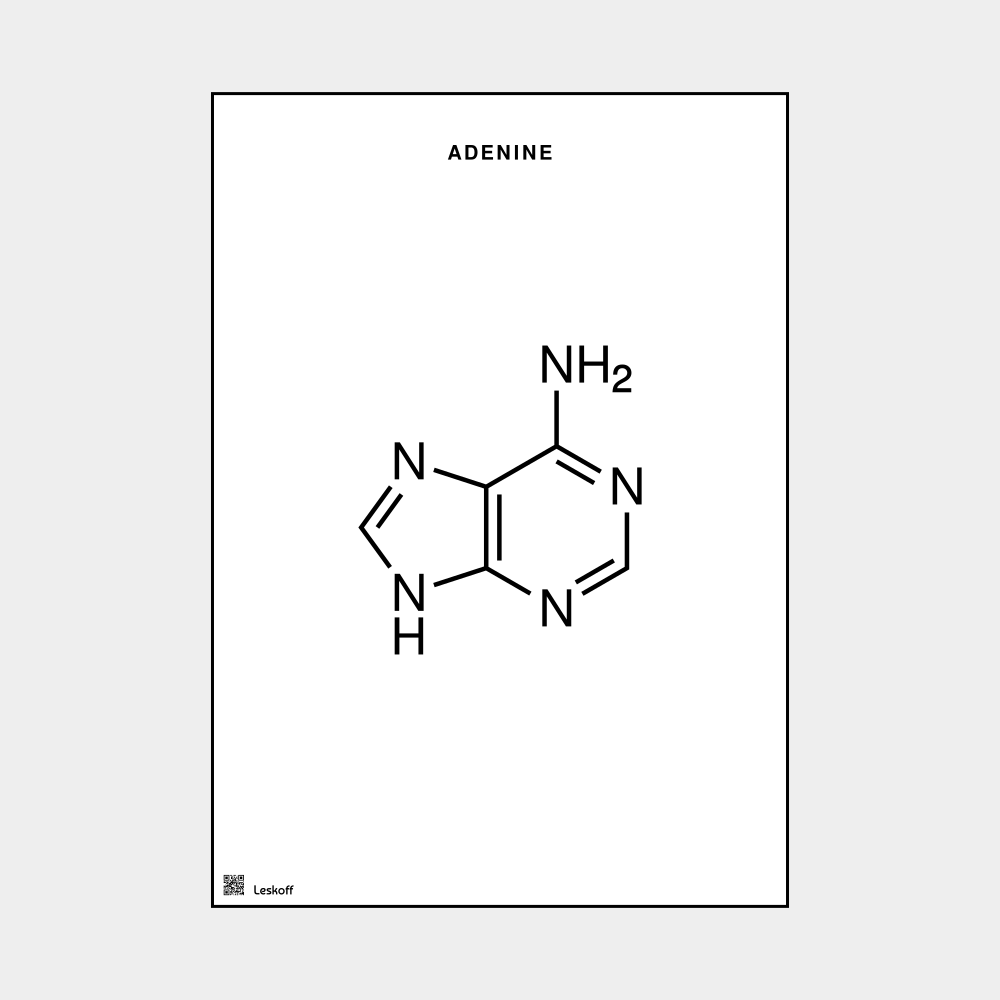 Leskoff Adenine Molecule Poster image 1 of 1