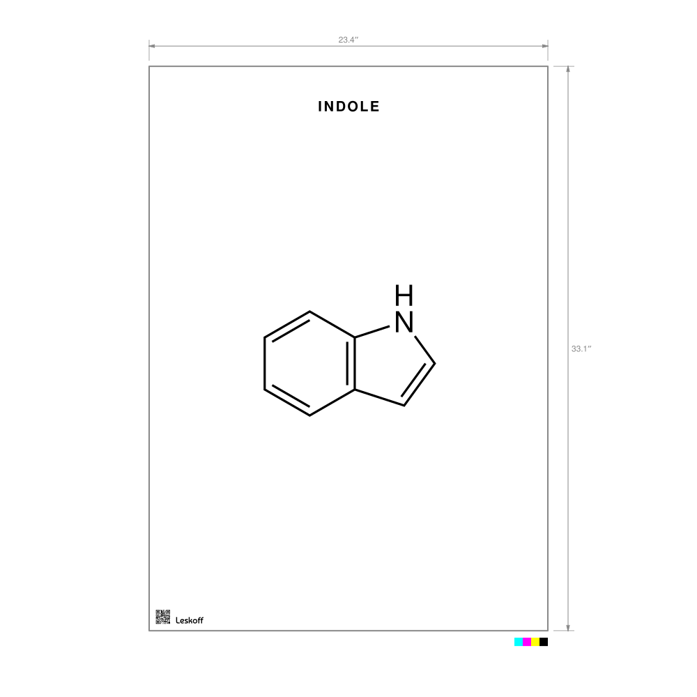 Leskoff Indole Molecule Poster image 1 of 1