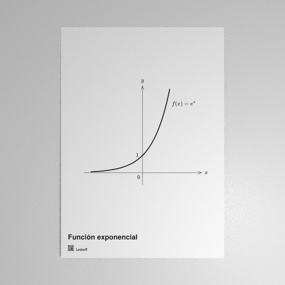 Leskoff Exponential Function Poster image 1 of 1