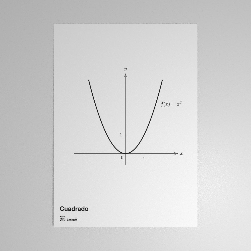 Leskoff Square Function Poster image 1 of 1