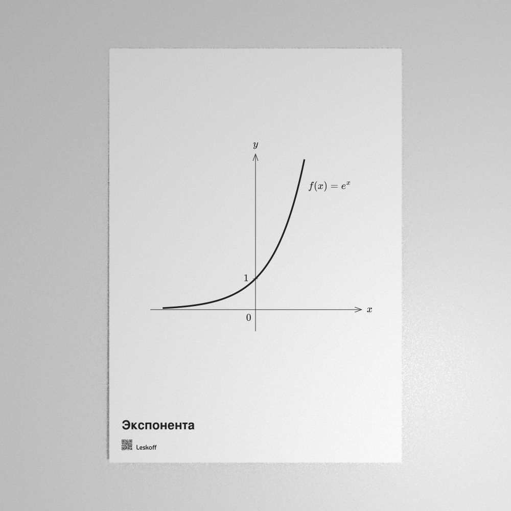 Leskoff Exponential Function Poster image 1 of 1