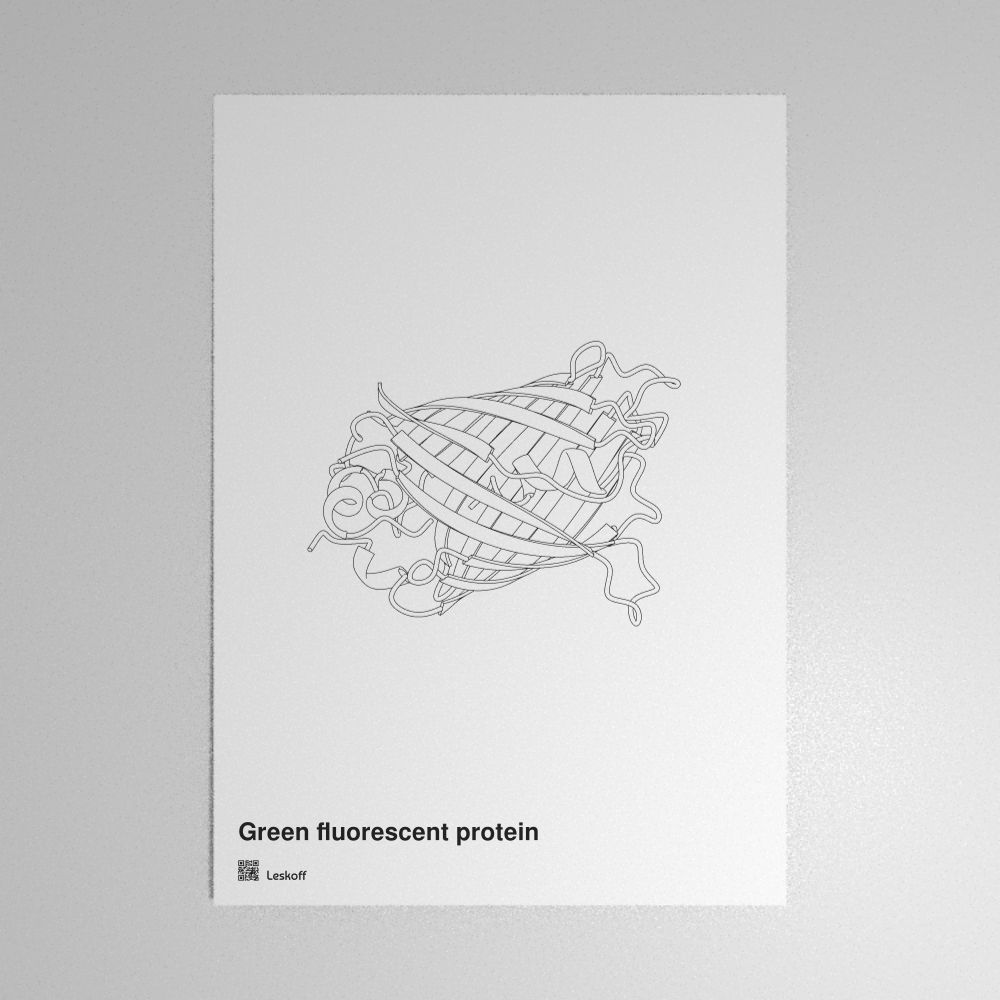 Leskoff Green Fluorescent Protein Poster image 1 of 1