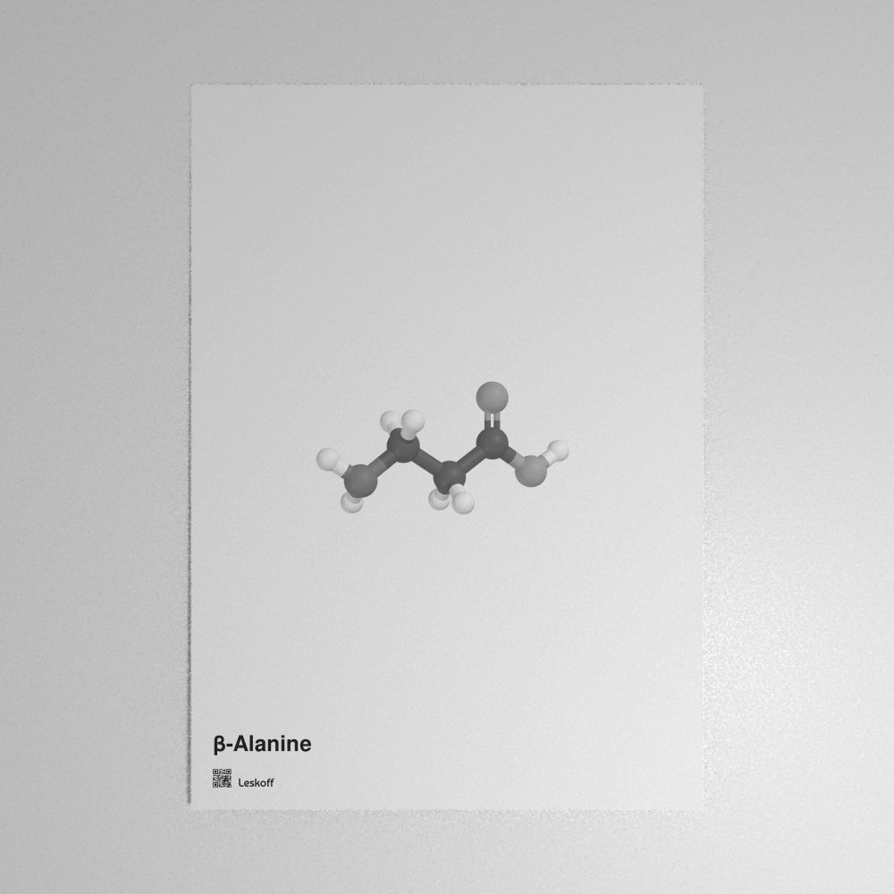 Leskoff β-Alanine Molecule Poster image 1 of 1