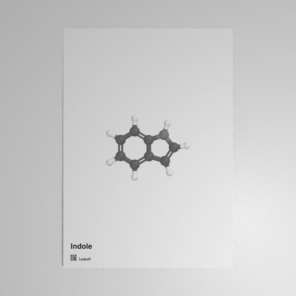 Leskoff Indole Molecule Poster image 1 of 1