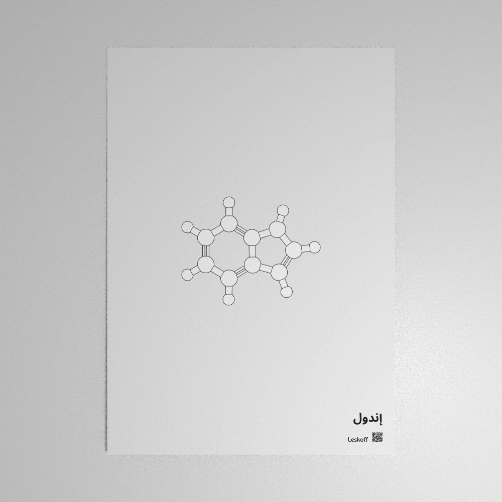 Leskoff Indole Molecule Poster image 1 of 1