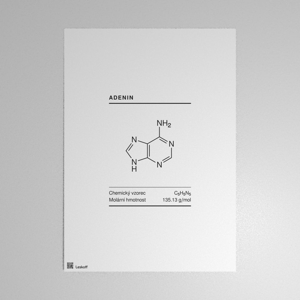 Leskoff Adenine Molecule Poster image 1 of 1
