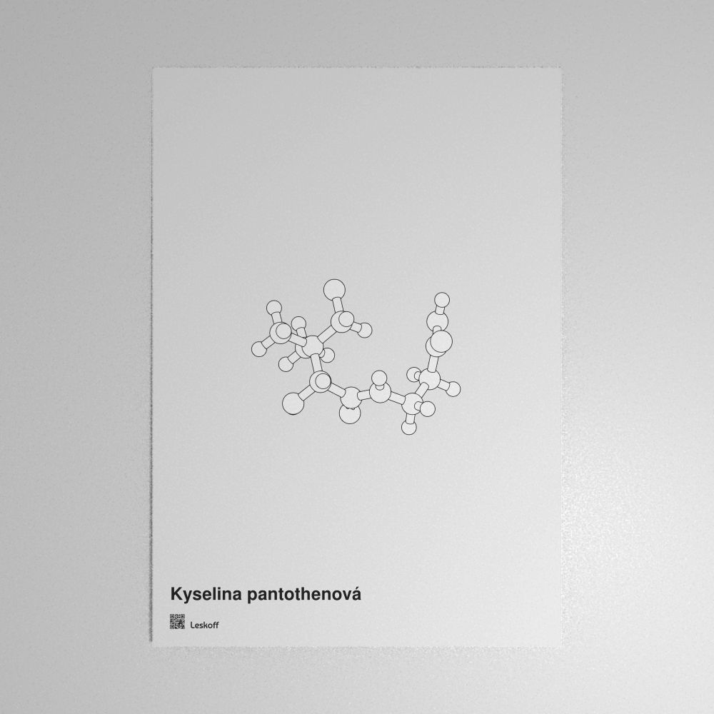 Leskoff Pantothenic Acid Molecule Poster image 1 of 1