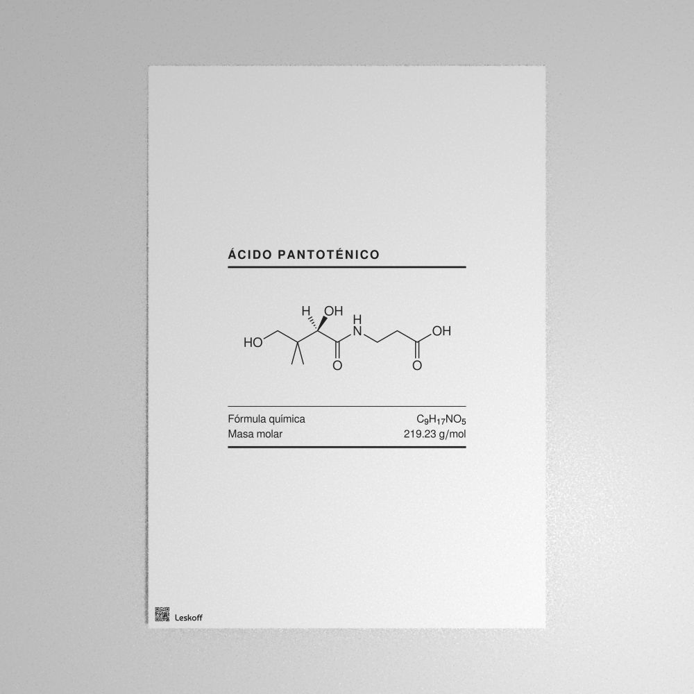 Leskoff Pantothenic Acid Molecule Poster image 1 of 1