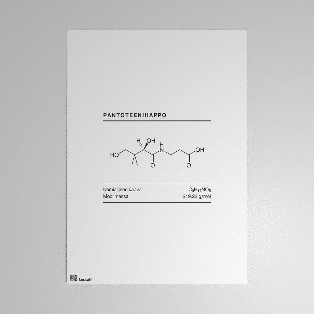 Leskoff Pantothenic Acid Molecule Poster image 1 of 1