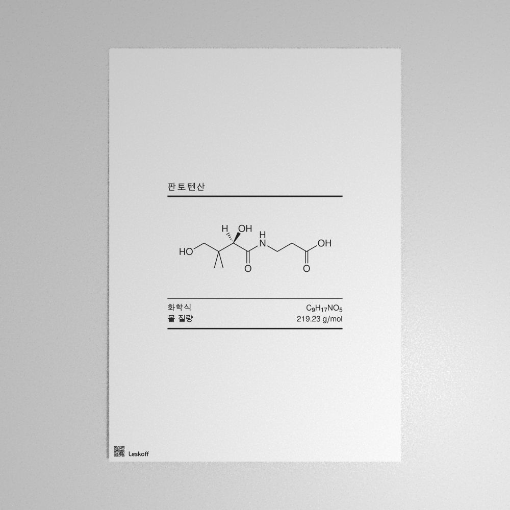 Leskoff Pantothenic Acid Molecule Poster image 1 of 1
