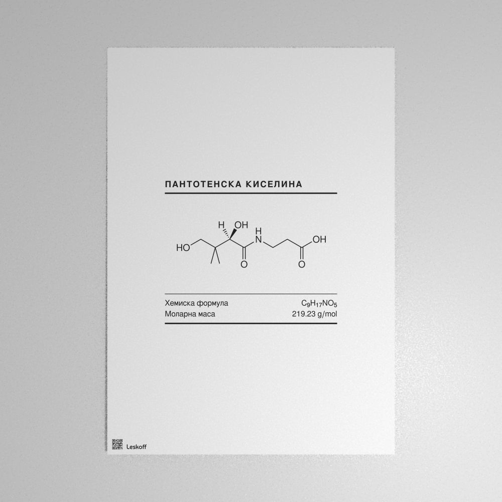 Leskoff Pantothenic Acid Molecule Poster image 1 of 1
