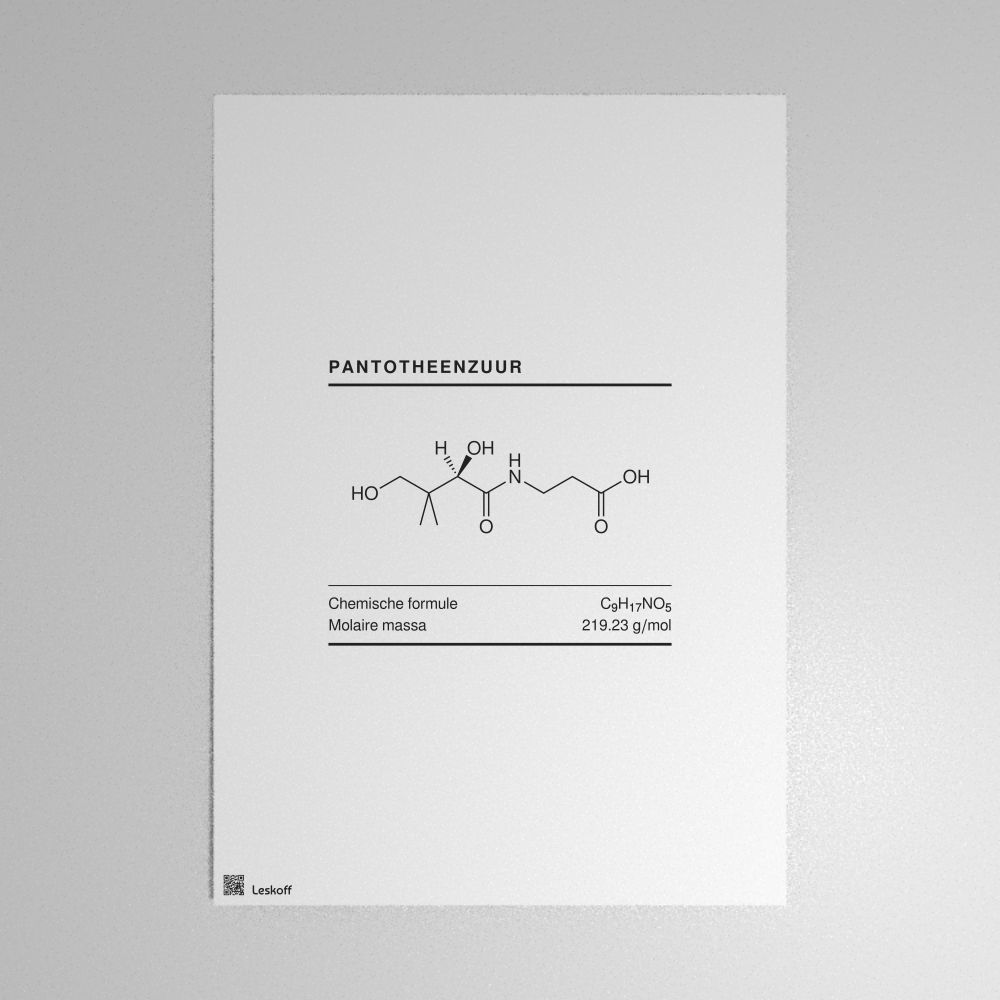 Leskoff Pantothenic Acid Molecule Poster image 1 of 1