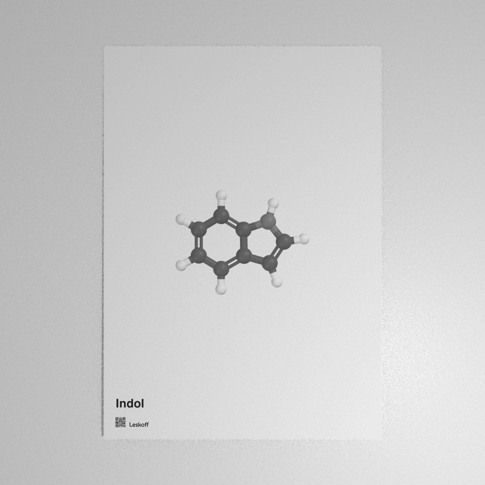 Leskoff Indole Molecule Poster image 1 of 1