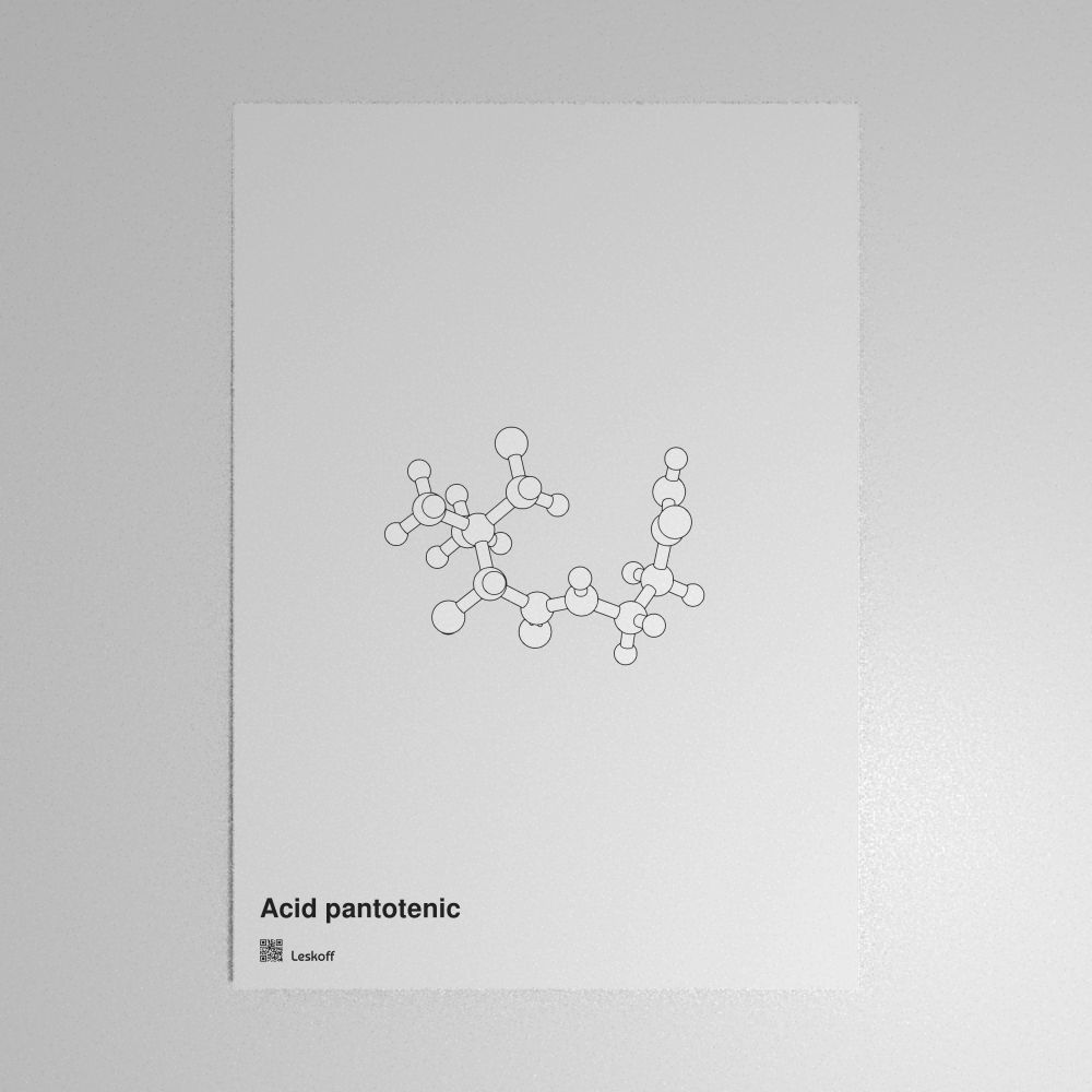 Leskoff Pantothenic Acid Molecule Poster image 1 of 1