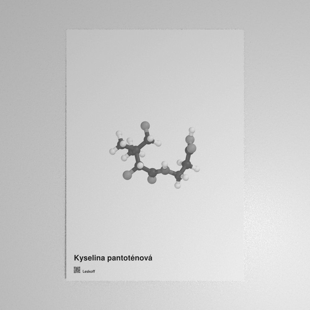 Leskoff Pantothenic Acid Molecule Poster image 1 of 1