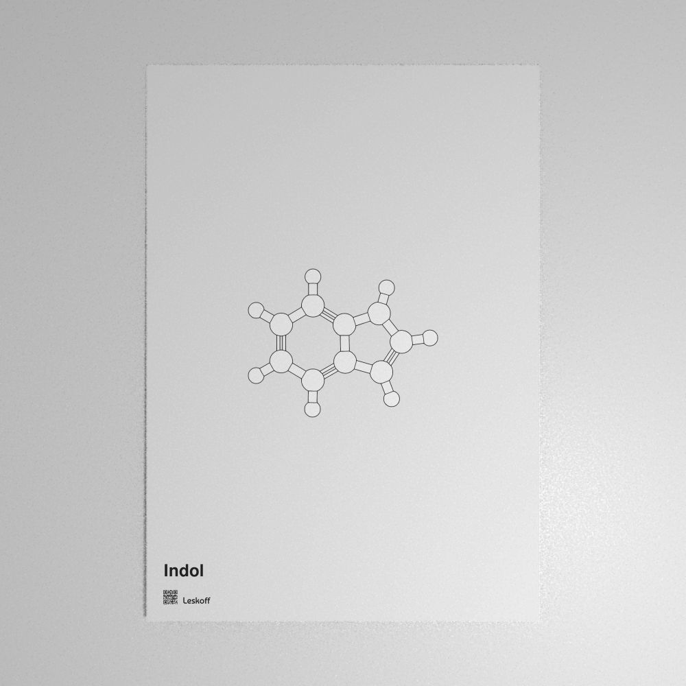 Leskoff Indole Molecule Poster image 1 of 1