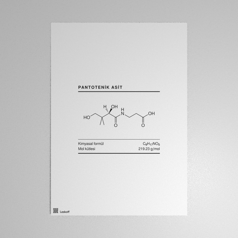 Leskoff Pantothenic Acid Molecule Poster image 1 of 1